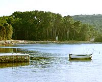 Apartments island Ugljan